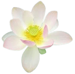 Lotus - Symbol of Spiritual Awakening